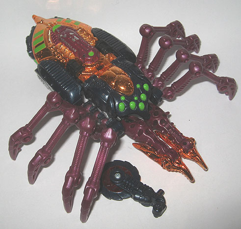 TarantulasTrans1a.jpg